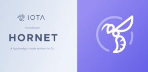 IOTA HORNET – Die leichtgewichtige IOTA Node