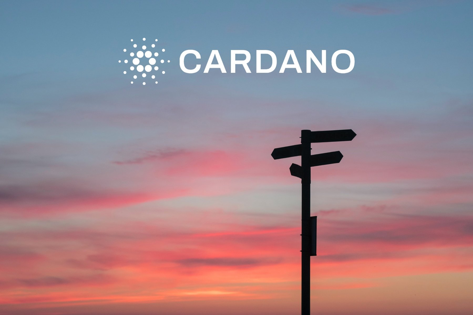 ✓ Cardano kaufen » Beste Anbieter im Vergleich «
