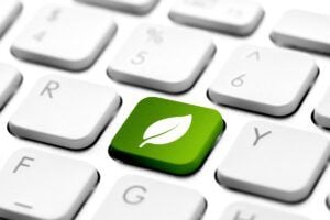 „Grüne“ Kryptowährungen als Alternative zu Bitcoin?