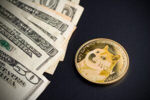 Reddit-Report: Robinhood besitzt die grösste Dogecoin-Adresse?