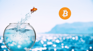 Goldfisch springt aus einem Glas in Richtung Bitcoin