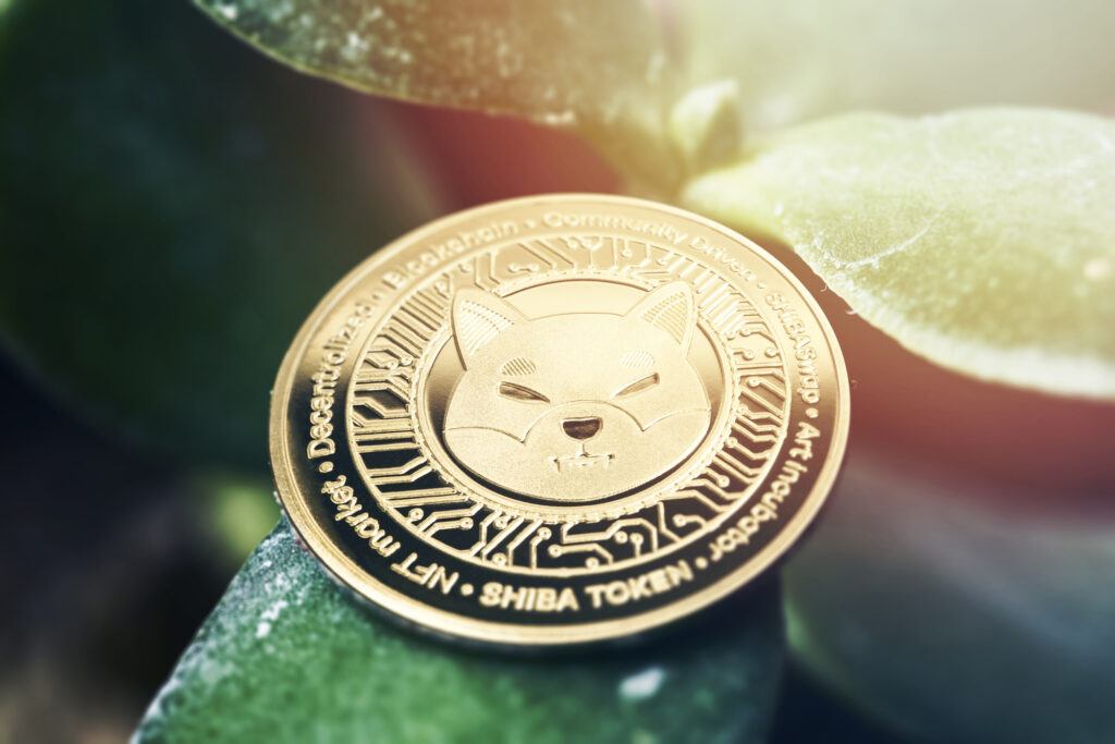 Shiba Inu Coin jetzt kaufen - Enormer Kursanstieg durch SHIB-Wal