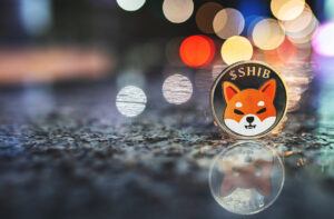 Shiba Inu Coin: Drastischer Einbruch bei Google Suchanfragen