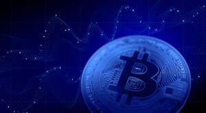 Diese Unternehmen und Staaten halten die meisten Bitcoin