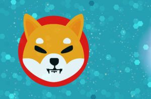 Shiba Inu Coin Burning: Wie schreitet das Projekt voran?