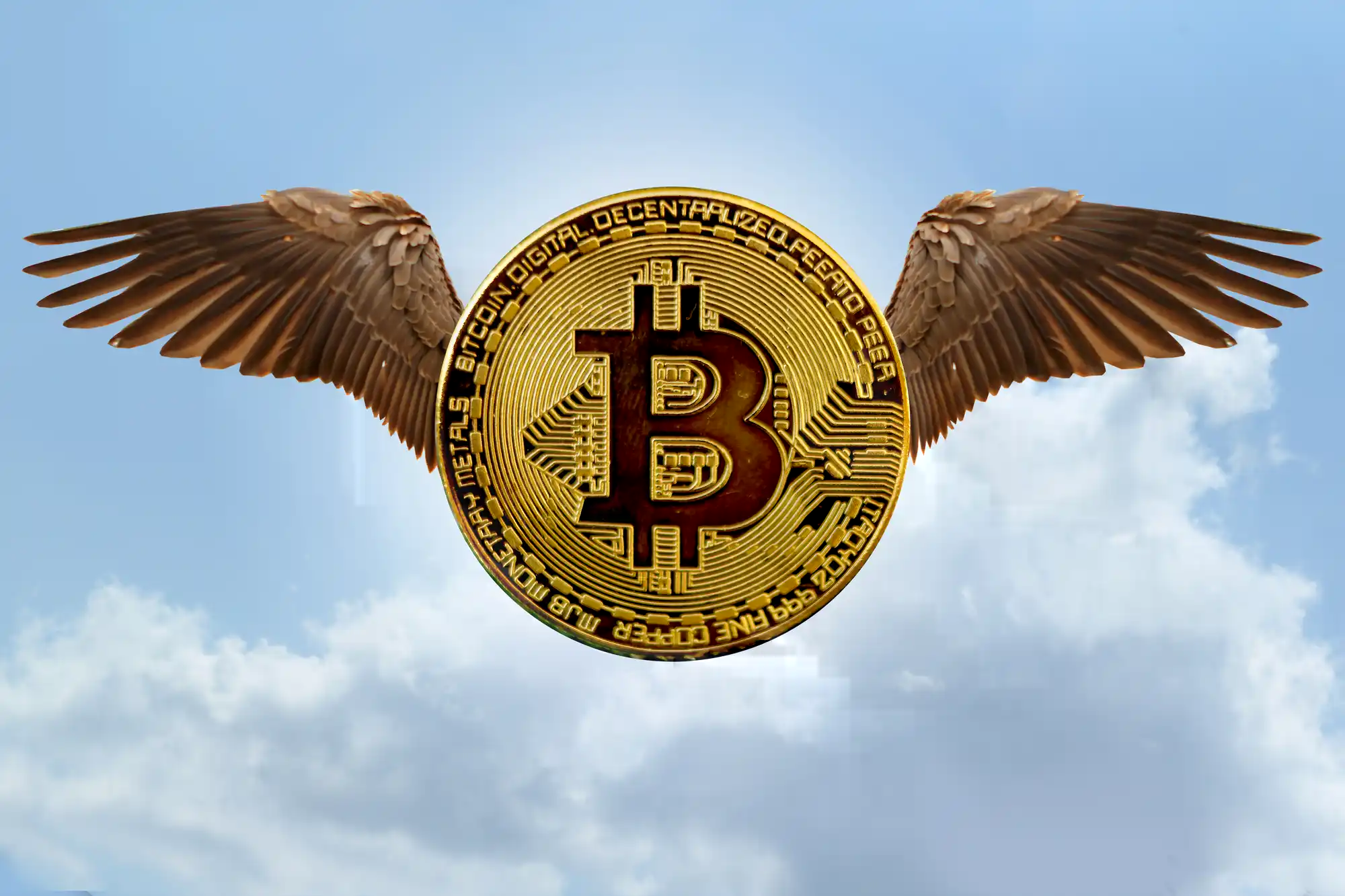 Edge Card Erste KryptoKreditkarte ohne KYC erreicht den Markt