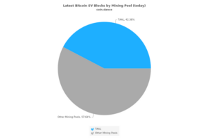 Bitcoin SV Empty Block Miner Hashrate in grau