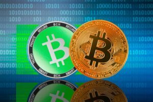 Bitcoin Cash wird Krypto Nr. 1 – Kim Dotcom