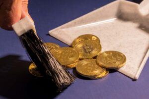 Craig Wright: Vermeintlicher «Satoshi Nakamoto» vergleicht Bitcoin mit «Gorilla-Scheisse»