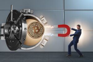 Custodial Wallets bieten grösstes Wachstumspotenzial in Krypto