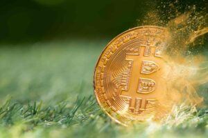 Genesis wird liquidiert Rettungsplan scheitert vorerst Titelbild