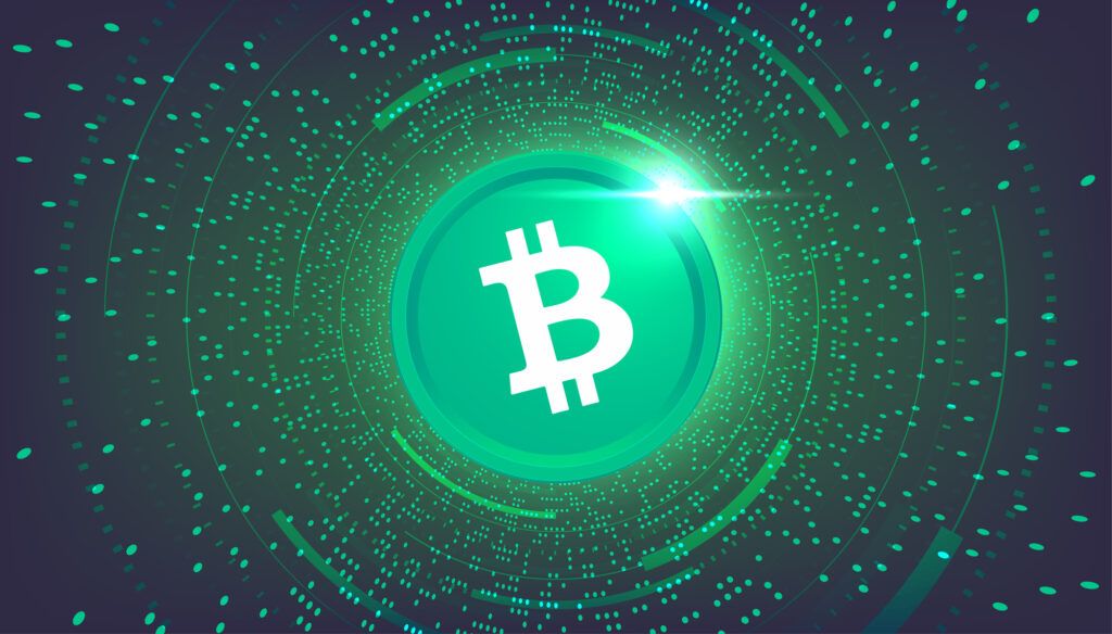 Bitcoin Cash Kurs BCH Kurs explodiert um +115 %