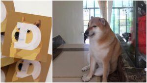 «Cheems»: Berühmter Dogecoin-Meme-Hund verstorben Titelbild