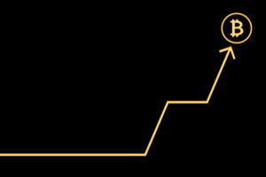 Bitcoin Kurs Prognose: So hoch wird BTC laut SkyBridge