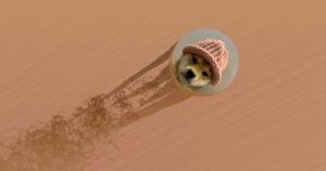 Dogwifhat (WIF) Kurs steigt – und überholt sogar PEPE