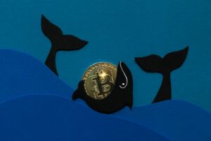 Bitcoin Wal kauft 1700 BTC in zwei Tagen