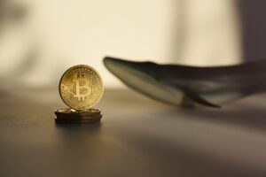 UBS, Bracebridge, Rothschild Diese Institutionen investieren in BTC Titelbild