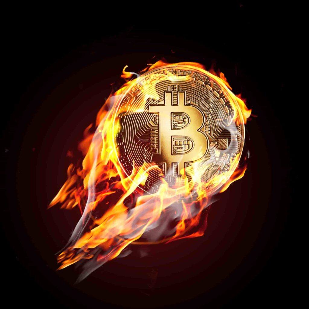 Bitcoin-Kurs unter Trump-Regierung: So entwickelt sich BTC Titelbild