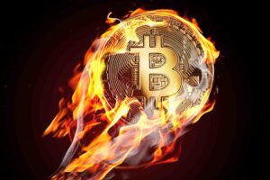 Bitcoin-Kurs unter Trump-Regierung: So entwickelt sich BTC Titelbild