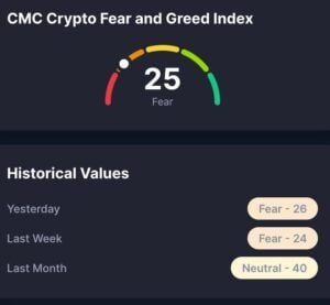 CMC Krypto Fear & Greed Index 13. November 2025