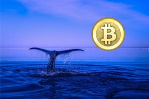 Ein abtauchender Wal neben einem Bitcoin Logo als Symbol